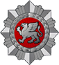 RUE /en 34 FINANCIAL CRIME INVESTIGATION SERVICE UNDER THE MINISTRY OF THE INTERIOR